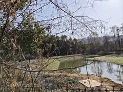 -东湖小天池真人CS彩弹野战基地