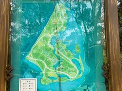 -南宁良凤江国家森林公园