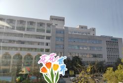 -弗蕾亚·和月月子调理院(东湖店)