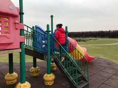 -上海都市菜园