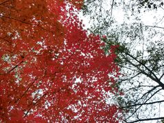 -丹东天桥沟景区