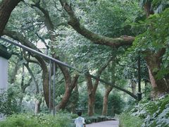 -城隍阁