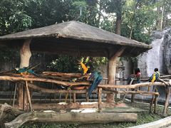 -清迈夜间动物园