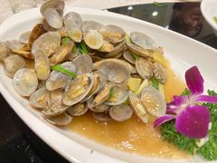 花蛤-石湖大酒店(桐泾店)