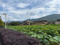 -福建土楼（南靖）云水谣景区-和贵楼