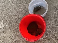 -粮心小农·大头虾亲子生态园(长发店)