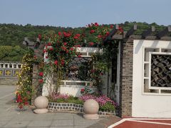 -龙寺生态园