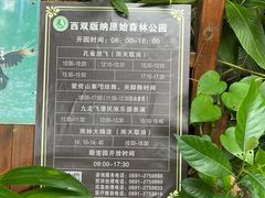-西双版纳原始森林公园