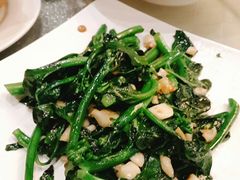 潮式生炒芥兰-新兴·金羊座·粤菜点心(乐峰店)