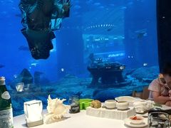 -亚特兰蒂斯•OSSIANO奥西亚诺海底餐厅