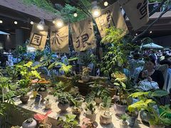 -瑞虹新天地月亮湾
