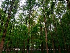 -河南省黄河迎宾馆