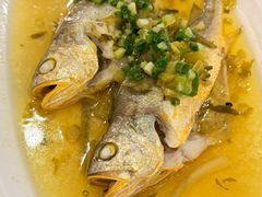 雪菜小黄鱼-阿明小菜·海鲜·上海菜(梅陇店)