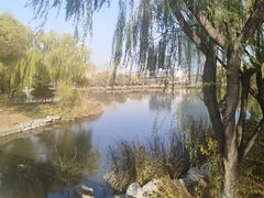 -大兴滨河森林公园