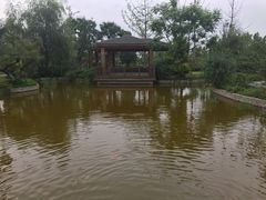 -成都安仁福朋喜来登酒店