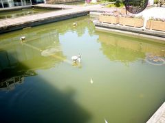 -宝界普菲特湖畔酒店