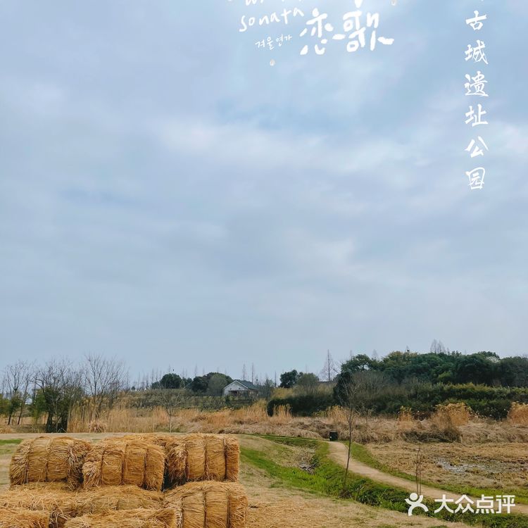 杭州小奈良 | 良渚古城遗址公园