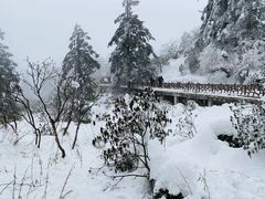 -瓦屋山景区