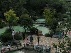 -吴淞炮台湾湿地森林公园烧烤区