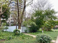 -重庆彩云湖湿地公园