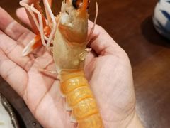 -旨料亭日本料理(四川北路店)
