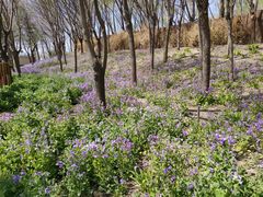 -安德鲁户外烧烤帐篷营地(马泉营店)