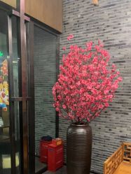 -盘子女人坊生日照·摄影馆(华强店)