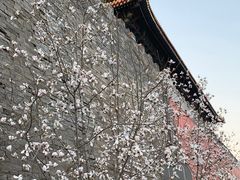 -东华门大街小区
