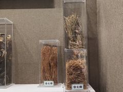 -北京中医药大学-中医药博物馆