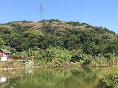 -桃园美食(水库路店)