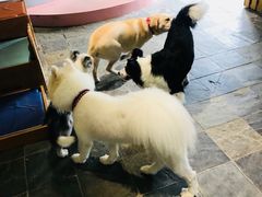 -太阳岛度假酒店