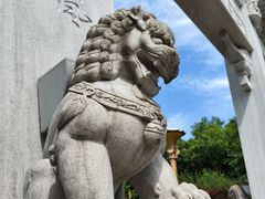 -三峡梯城