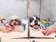 -Double Rui宠物酒店