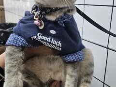 -潮双生·双生肠粉(牌坊街总店)