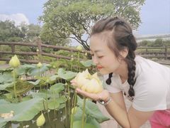 -广州莲花山旅游区