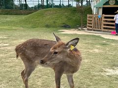 -盈香心动乐园
