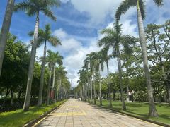 -厦门大学(思明校区)