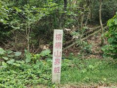 -梧桐山风景名胜区