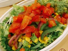 -油梨树 AVOCADO TREE(亮马桥店)