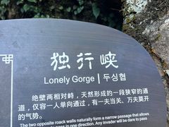 -梭布垭石林景区