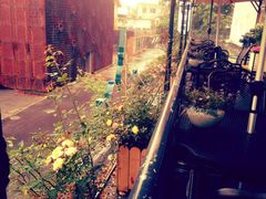 -SEN CASTLE城堡西餐(创意设计中心店)