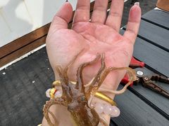 -山东大学(威海校区)