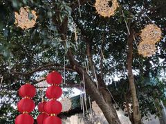 -听风阁农家私房菜茶楼(龙坞店)