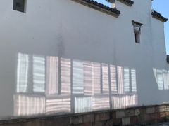 -广富林郊野公园