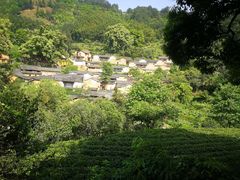 -杨家堂村