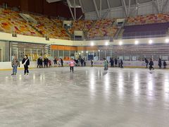 -松江大学城体育馆滑冰馆