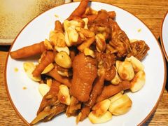 -鸽子窝(青塔店)