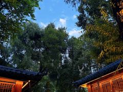 -大妙火锅·非物质文化遗产(东湖公园店)