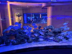 -上和臻品中国菜(花园街店)