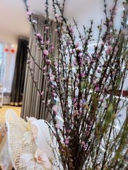 -Yue Show馨选·半永久纹眉纹眼线